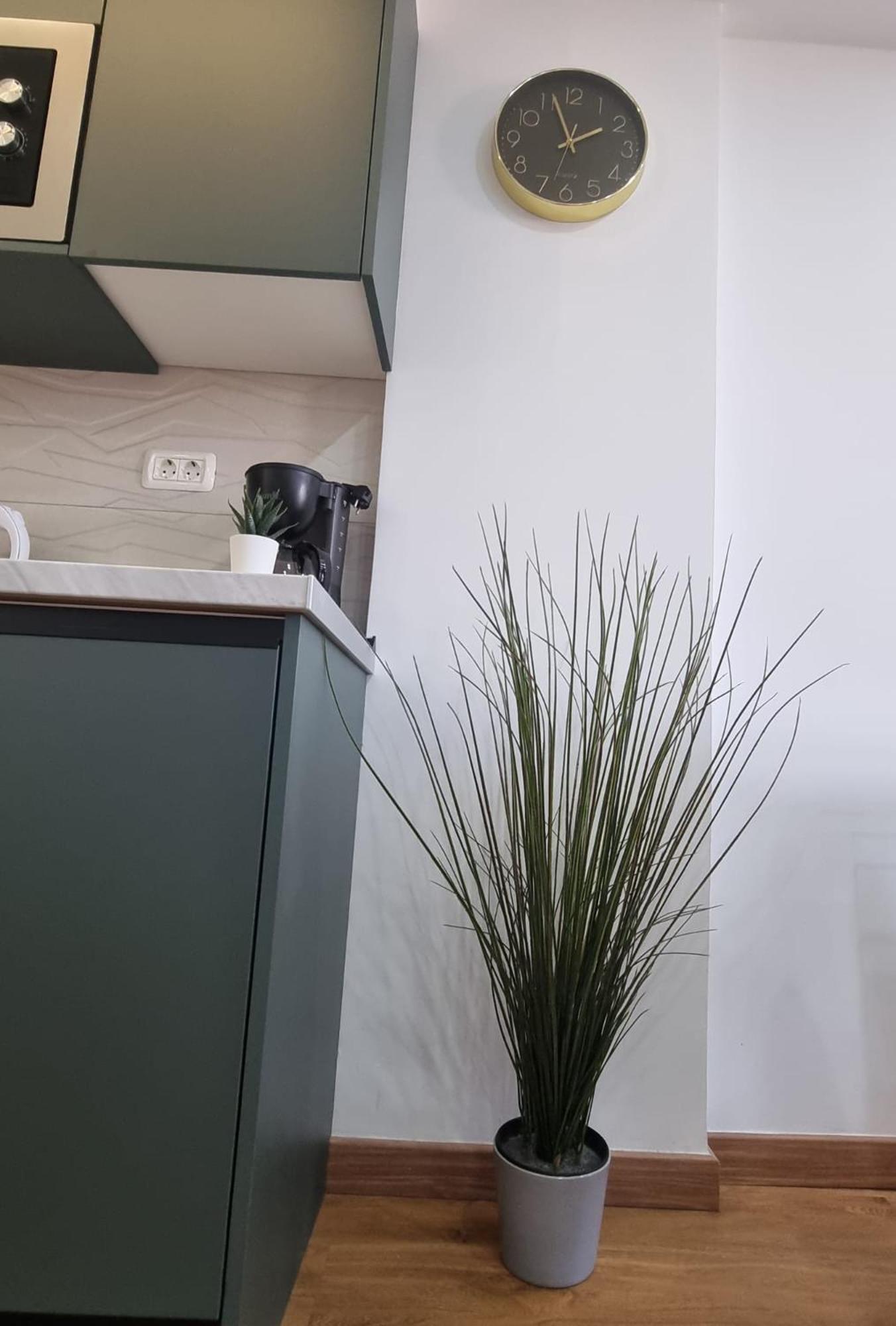 Apartment Casa Liotro Comfortable, Panoramic,central, Near The Sea,swimming Pool,wifi,terrace *